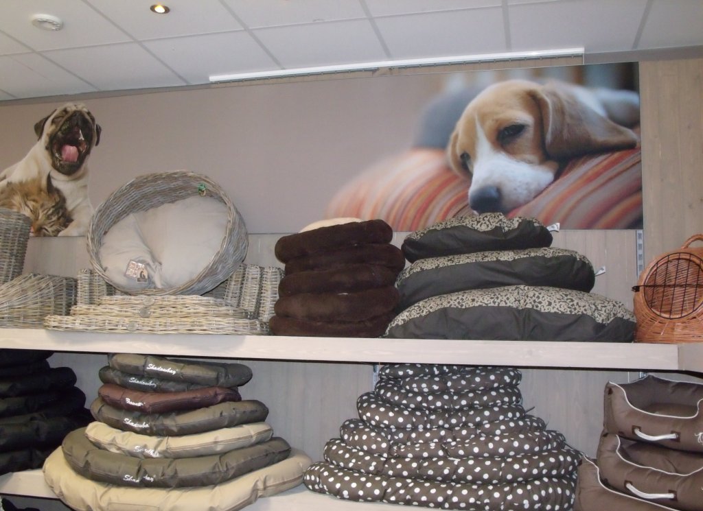 dierenwinkel
