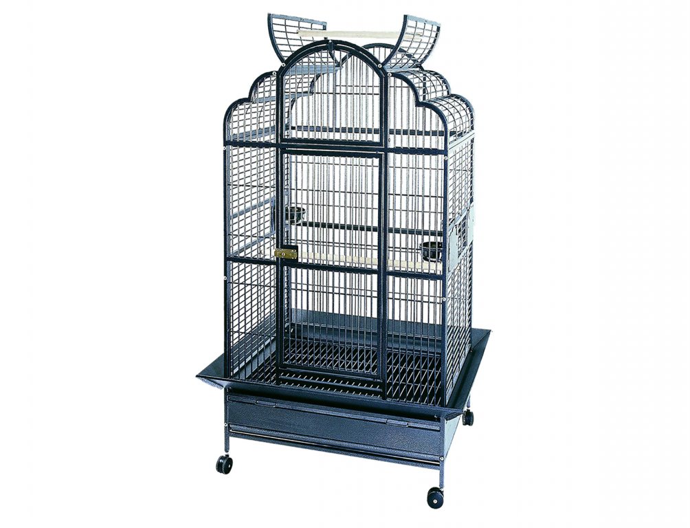 Cage perroquet Emperor (2 Boxes)