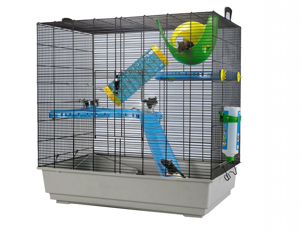 Cage rat Freddy 2 Max bleu-gris 80x50x80cm