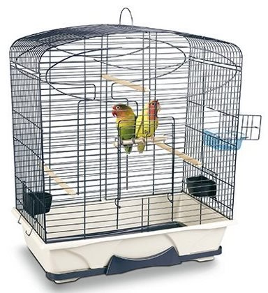 Accessoires Pour Oiseaux Uw Dierenwinkel In Zellik Brussel