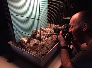 Foto Shoot uurwerken 4