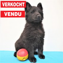 Gorenendaal.png