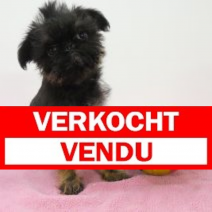 Afbeelding2.png