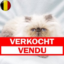 Himalaya 030924 M(BE3566) 271224 verkocht - vendu.jpg