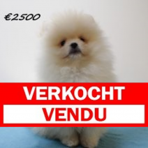 Keesje M 291124(SK3722) 010425.vendu