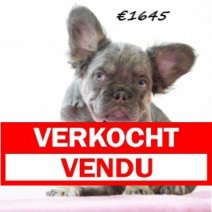 Verkocht - Vendu.jpg