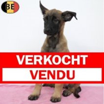 Verkocht Mechelaar 6968