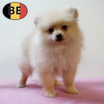 Keesje 25062025 F (BE4659) 28082025.JPG