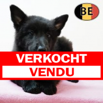 Groenendael 21062025 F (BE6392) 23082025.verkocht.png