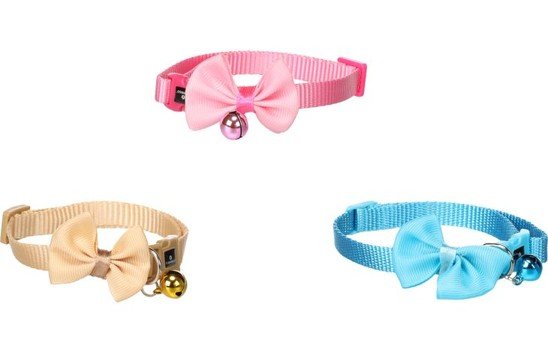 halsbandencat21102025