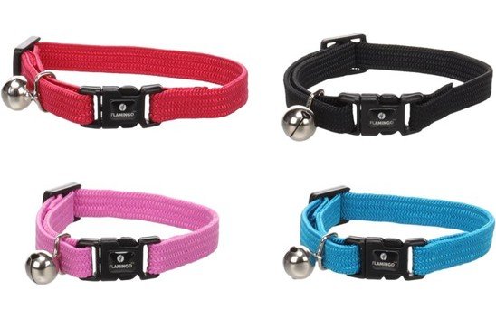 halsbandencat21102025