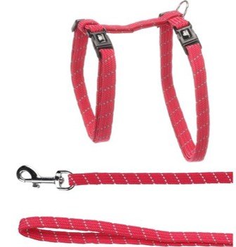 halsbandencat21102025