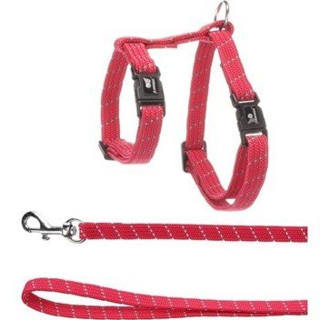 halsbandencat21102025