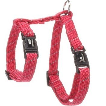 halsbandencat21102025