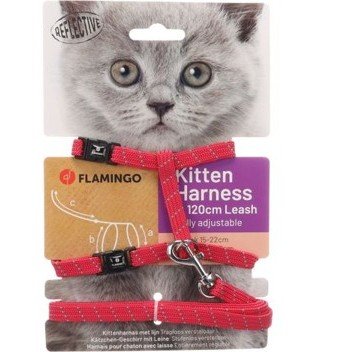 halsbandencat21102025