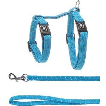 halsbandencat21102025