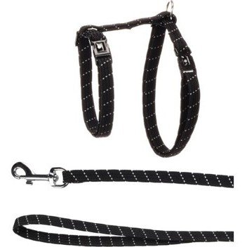 halsbandencat21102025