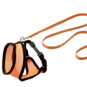 halsbandencat21102025