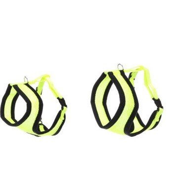 halsbandencat21102025