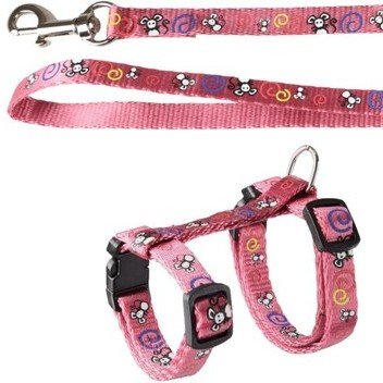 halsbandencat21102025