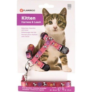 halsbandencat21102025