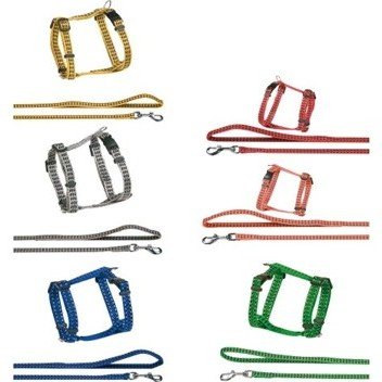 halsbandencat21102025