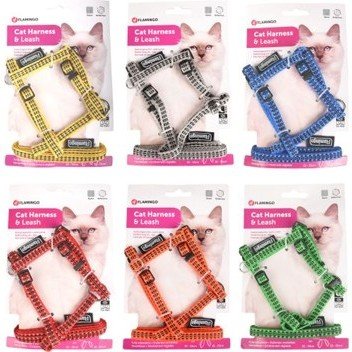 halsbandencat21102025