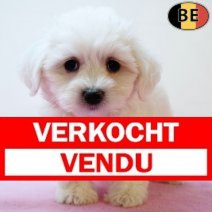 Maltezer 030725 F(BE1032) 0330925 Verkocht - Vendu.jpg