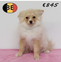 Keesje 250625 F (BE4651) 211025.JPG
