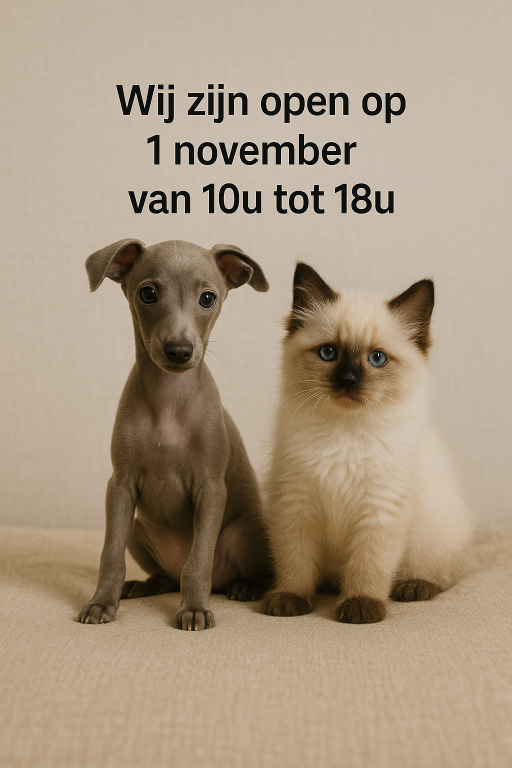 Open op 01-11-25.png