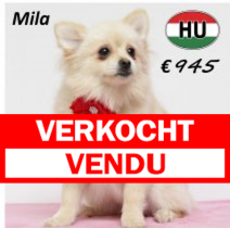 Keesje Mila 050425 F (HU3228) 211025.v erkocht.png