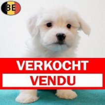 Maltezer 030925 M(BE0759) 291025 Verkocht - Vendu.jpg