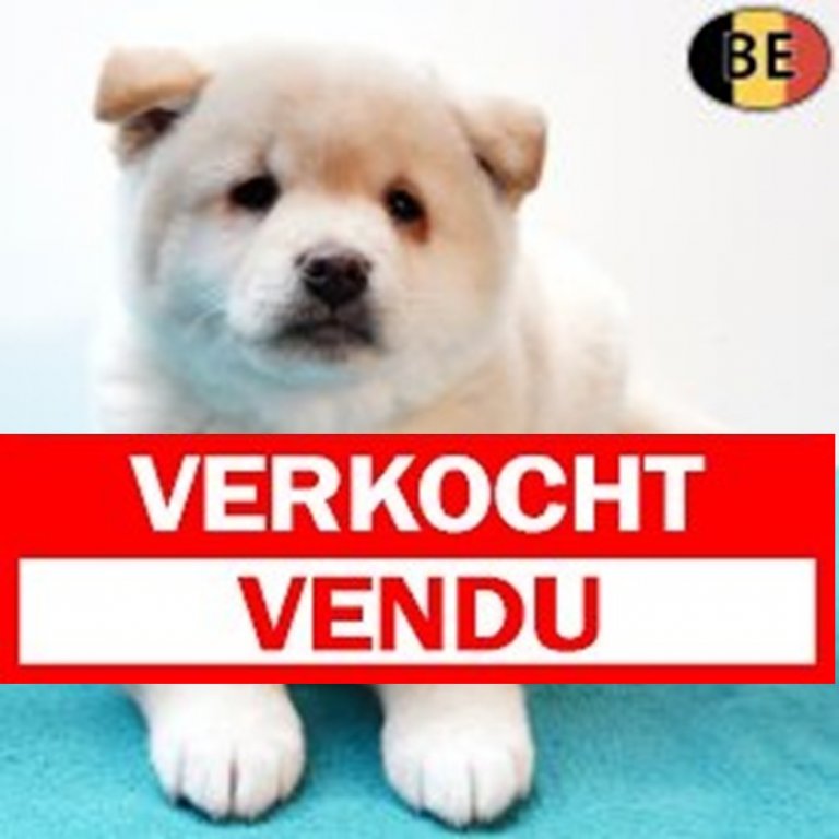 verkocht 170925 M(BE0805) 121125.jpg