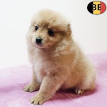 Keesje 230925 F(BE3740) 211125.jpg