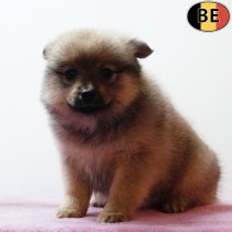 Keesje 230925 F(BE4792) 211125.jpg