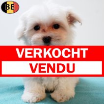 Maltezer 020925 M(BE4630) 141125 verkocht - vendu.jpg