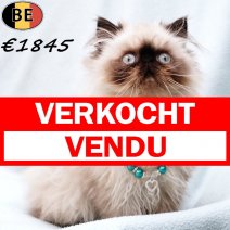 Himalaya 050825 M(BE1121) 081225.jpg