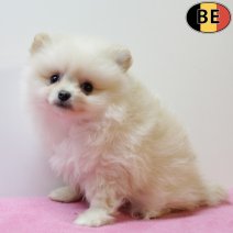 Keesje 111025 F(BE9616) 101225.jpg