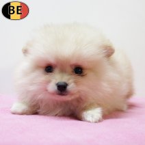 Keesje 091025 F(BE5163) 101225.jpg