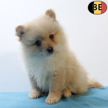 Keesje 111025 M(BE9416) 101225.jpg