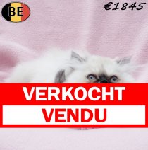 Himalaya 010925 F(BE1274) 081225 verkocht - vendu.jpg