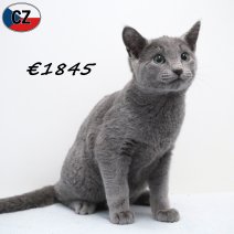 Blauwe Rus 191125 M(CZ9130) 180326.jpg