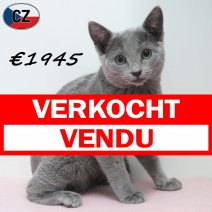 Blauwe Rus 191125 F(CZ2512) 180326 verkocht - vendu.jpg