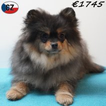 Keesje 111125 M(CZ5825) 180326.jpg