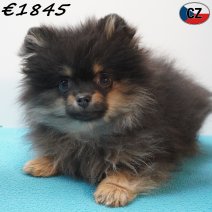 Keesje 111125 M(CZ5835) 180326.jpg