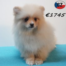 Keesje 121125 M(CZ5824) 180326.jpg