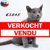 Blauwe Rus 191125 M(CZ9130) 180326 verkocht - vendu.jpg