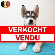 Husky 270126 M(BE6028) 010426 verkocht - vendu.jpg