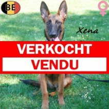 Verkocht Xena 1912