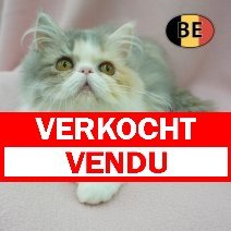 Pers 20-04-2026 F (BE5172) 28-08-2026  verkocht - vendu.jpg
